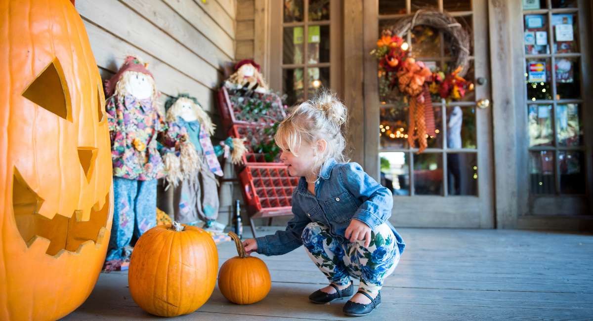 Girl looking at pumpkins on porch decorated for fall.