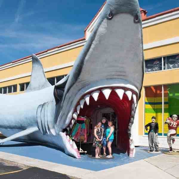 Shark Store