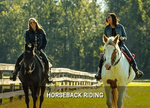 Enjoy Horseback Riding - part of Safe Travel Covid North Carolina